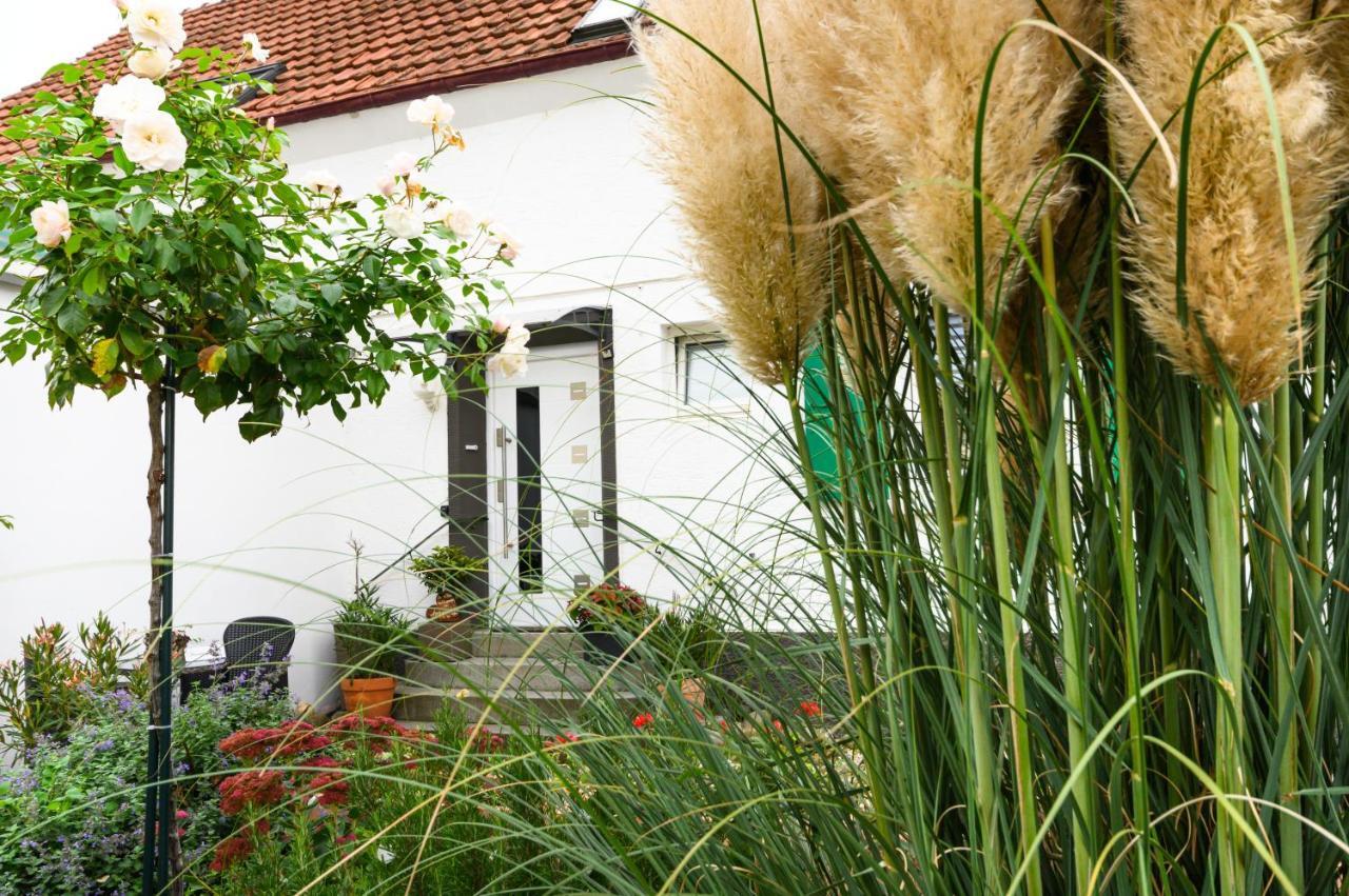 Annas Oase Apartment Meckenheim  Exterior foto
